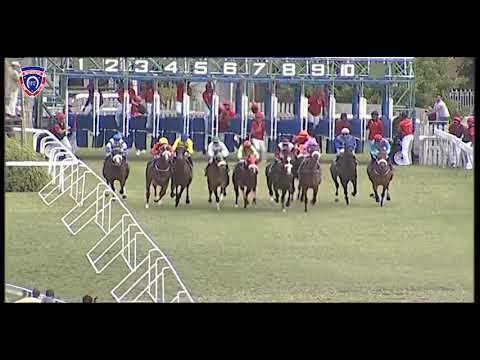 RM15 R5 | Alshibaa | D.Holland