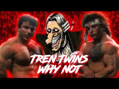 Why Not Guitar - Tren Twins