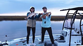 Like Shooting Fish IN A BARREL - Winter Creek Fishing