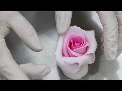 George's Fondant VIdeo