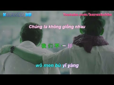 Wo Men Bu Yi Yang Pinyin Lyric | Chúng Ta Không Giống Nhau Vietsub