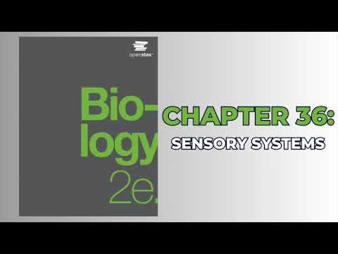 OpenStax Biology 2e (Audiobook) - Chapter 36: Sensory Systems