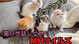 【MHワイルズ】真のスラッシュアックス使いになるぞおい