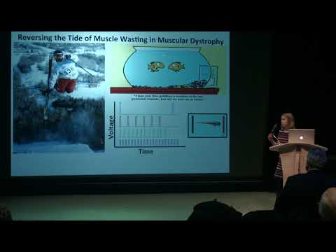 Elisabeth Kilroy 3 Minute Thesis