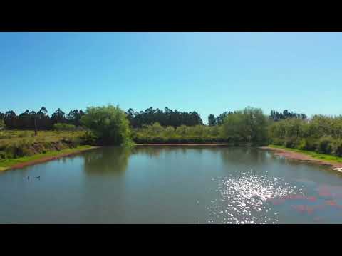 Chacra de 13 Hectareas en Sauce, Canelones, Paraje Cuchilla de Rocha