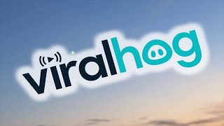 Meteor Streaks Across Sunrise Sky || ViralHog