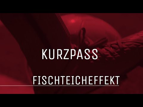 KURZPASS #1 - Wechsel ins NLZ - Der Fischteich-Effekt