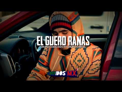 Grupo Codiciado ft Grupo Cartel - El Guero Ranas ft Banda Culiacancito  | Corridos 2020