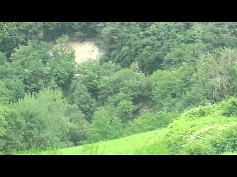 rally di modena 2014