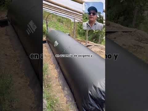 Desde el Resguardo de Honduras, municipio de Morales Cauca, Instalación Biodigestor 7,5 m
