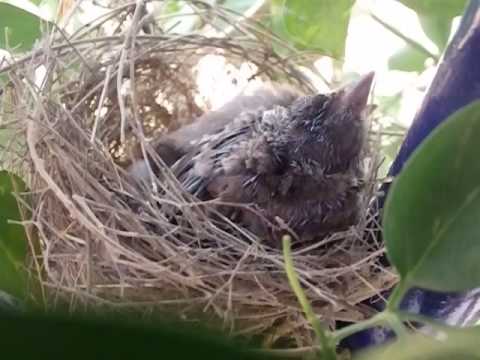 Muniraj B N just got wings to fly