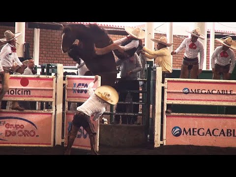 Matreras and Llaneras Mares - Telepaisa