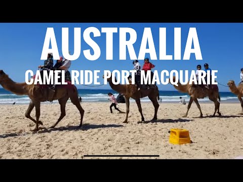 RIDING A CAMEL||PORT MACQUARIE NSW AUSTRALIA