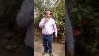 Karaoke como un globo al viento grupo laberinto