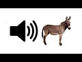 Donkey Sound Effect ProSounds