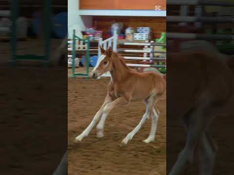 Sneak peak