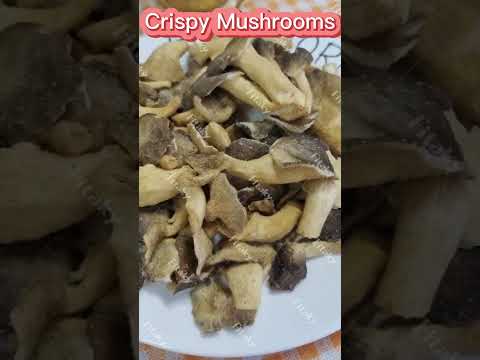 High Quality Crispy Mushrooms Factory Price #crispymushrooms #mushrooms