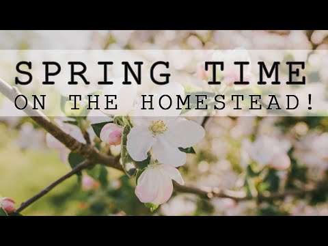 See What's Growing! | Ruth Stout Mulching with Hay!