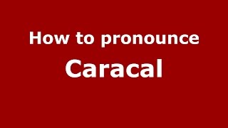 How to pronounce Caracal