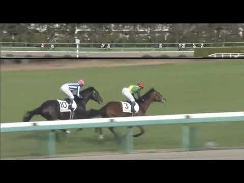 2018.12.16 2yo Newcomer (JPN) - King Listeia