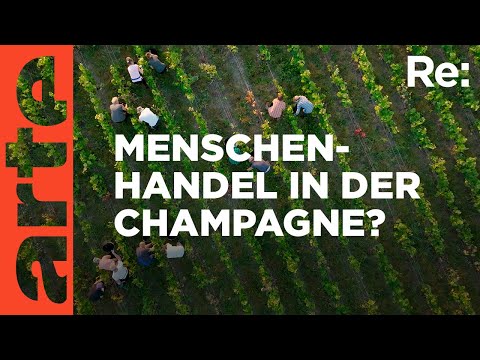 Video Thumbnail: Ausgebeutet für Champagner | ARTE Re: