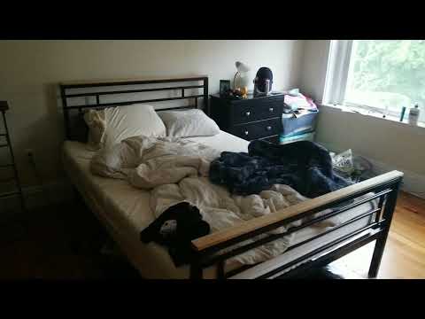 193 Winthrop property video