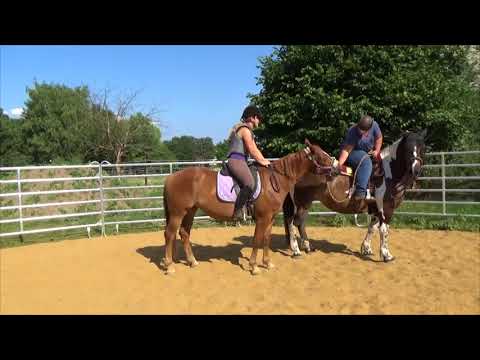 MUSTANG MAKEOVER 2018 Team Anja (TAG 3979) - Update 8