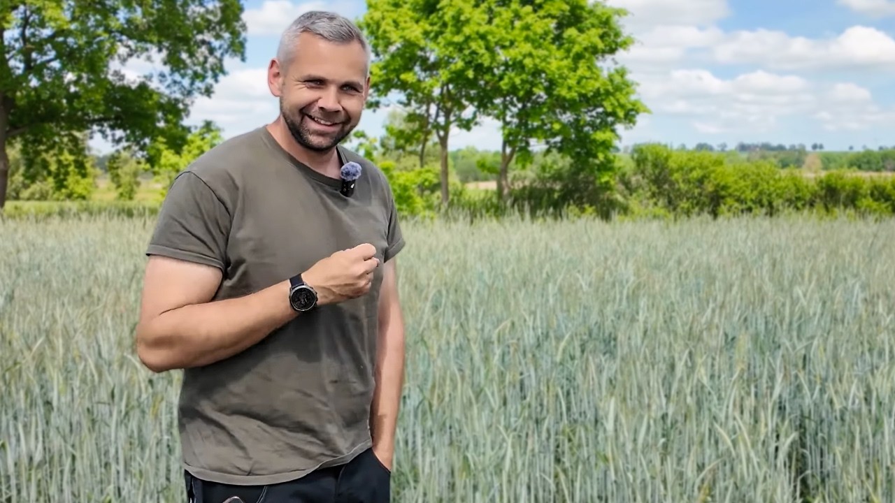 AKF: Versuch Hafer nach Totalausfall, Weizen und Roggen