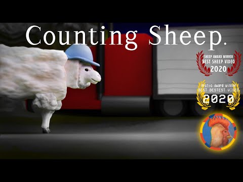 Counting Sheep - Animated Short Film