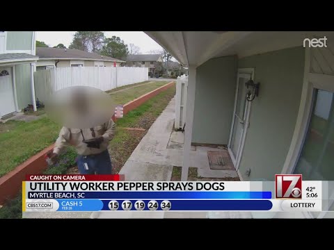 Utility worker pepper sprays dogs