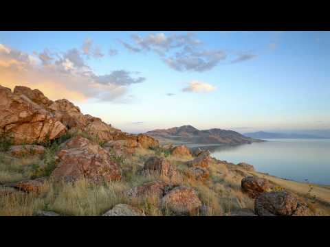 download lagu mp3 mp4 Abbott Chambers Show Me Something Better, download mp3 Abbott Chambers Show Me Something Better free download, download mp3 Abbott Chambers Show Me Something Better