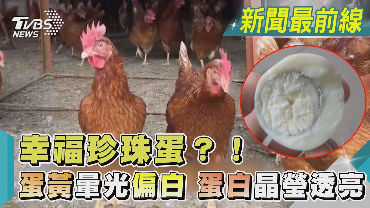 驚呼水煮蛋「白蛋黃」　疑「吃素的雞」所下的