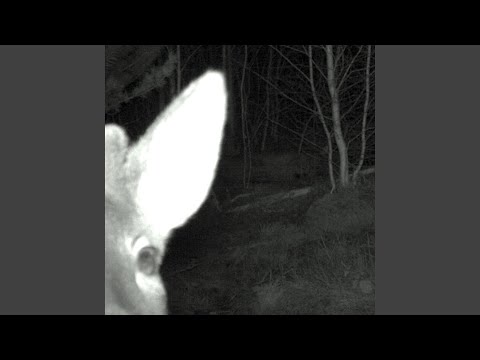 Play video on YouTube