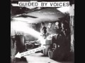 Guided by Voices - Melted Pat 