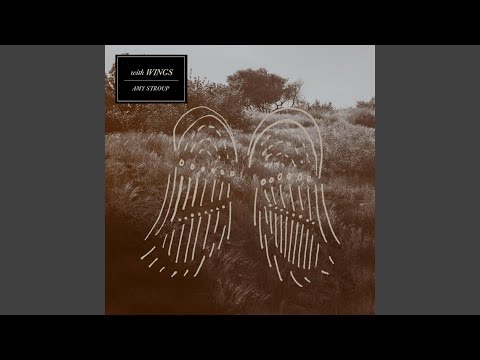 With Wings - Amy Stroup