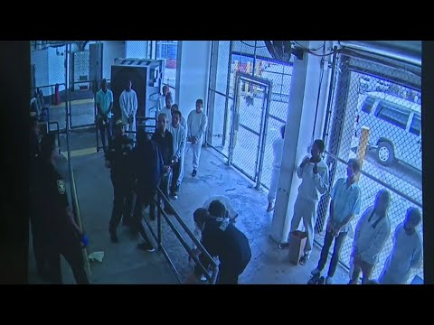 Booking Blotter Broward