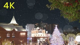 4K TOKYO Yebisu Garden Place Christmas Illuminations 恵比寿ガーデンプレイス クリスマス　イルミネーション