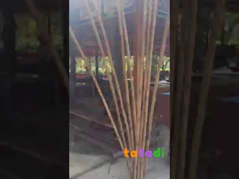 Monkey Island Nha Trang Vietnam