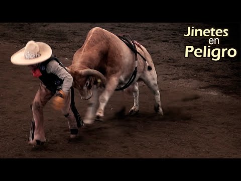 Lo dificil no es subirse si no bajarse  - Jineteo de Toro - Jinetes en Peligro - Adrenalina Pura