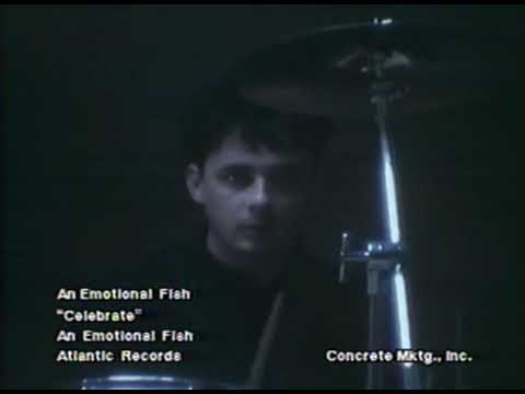 An Emotional Fish - Celebrate