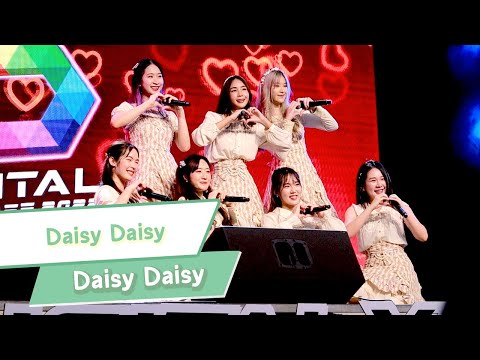 [FanCam] Daisy Daisy - Daisy Daisy 20220612
