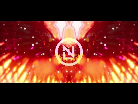 Landoni video