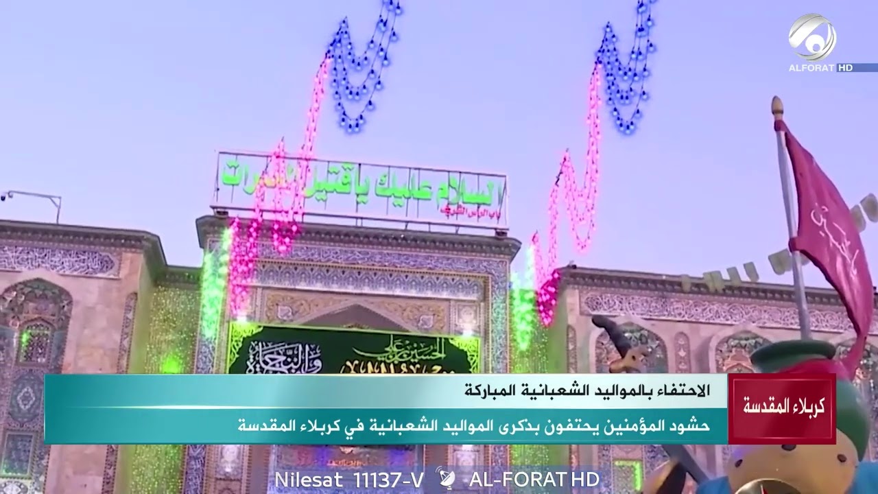 فيديو | ما الذي يجمع هذه الحشود في كربلاء المقدسة ؟