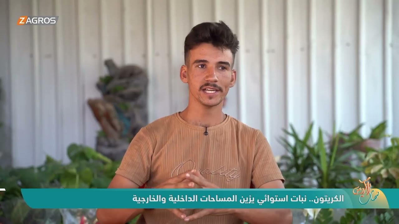 فيديو | الكريتون.. نبات استوائي يزين المساحات الداخلية والخارجية | نسمات زاكروس