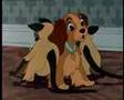 Lady And The Tramp The Siamese Cat Song Polish