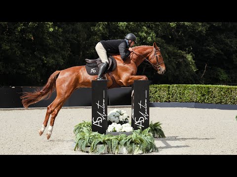 Try Me de Wiqui - Jumping