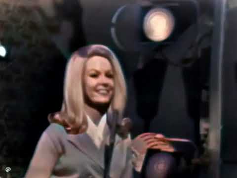 Sue Thompson - Paper Tiger (1965)