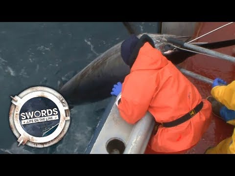 FULL EPISODE - Swords: Life On The Line | Season 2 | Episode 2