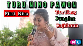 Download lagu TURU NING PAWON Dian anic | TARLING PONGDUT BAJIDORAN | Cover FITRI Nico mp3