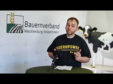 Büttenrede zum Politischen Aschermittwoch